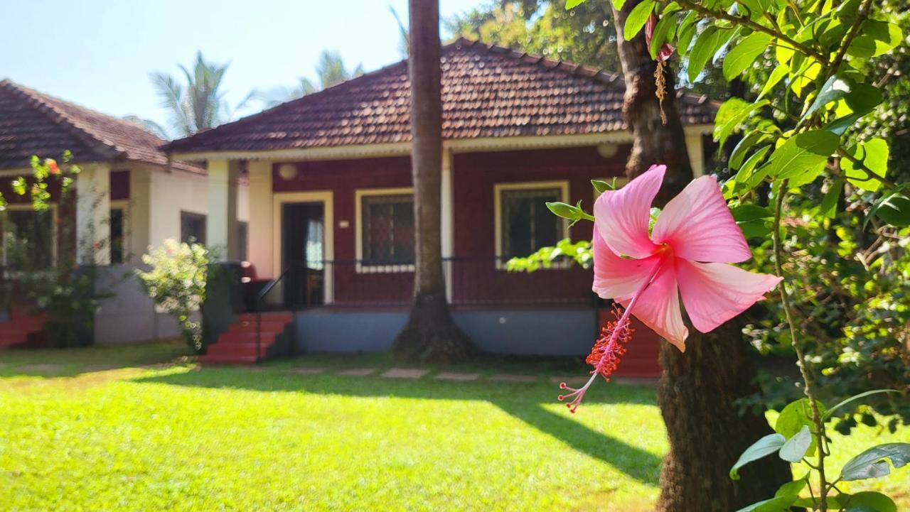 Garden Villa Вагатор Екстер'єр фото