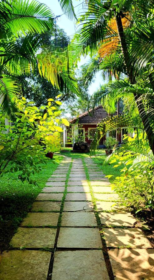 Garden Villa Вагатор Екстер'єр фото